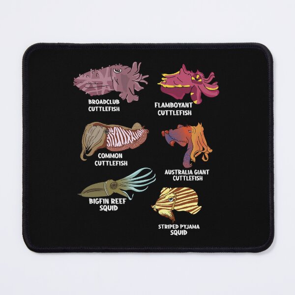 Item preview, Cuttlefish Species Marine Biology Sepia Octopus Cuttlefish designed and sold by DSWShirts.
