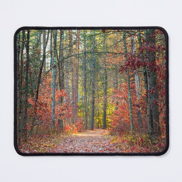 Item preview, Autumn Forest Trail (Photograph) designed and sold by RealmOfImages.