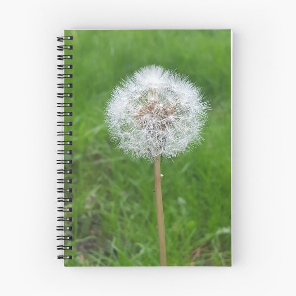 Item preview, Dandelion clock designed and sold by WyldArt.