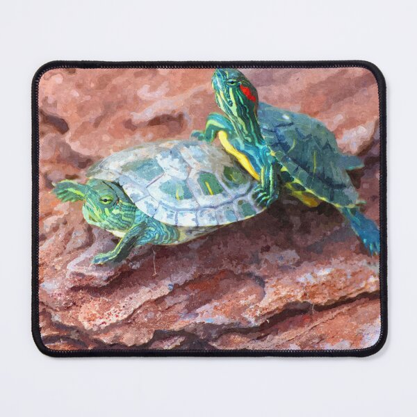 Item preview, Oil painting of two turtles sitting on a rock. designed and sold by KinImageCraft.