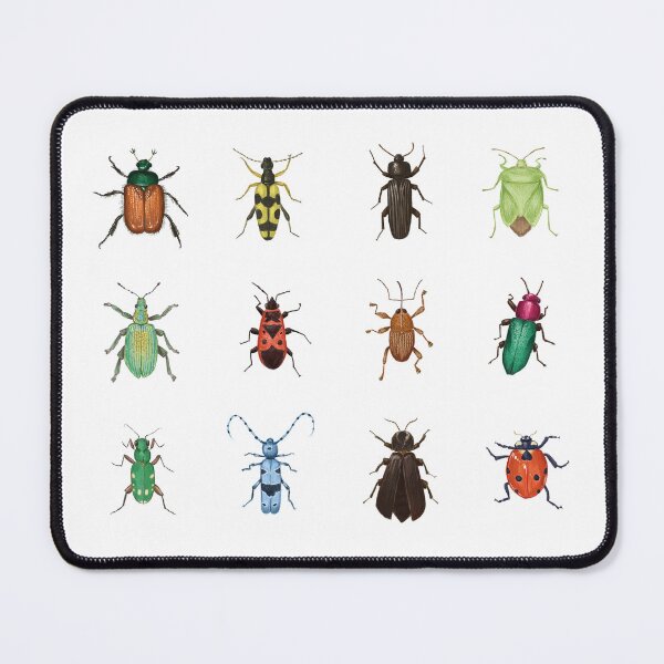 Item preview, beetle collection designed and sold by linda-aurelia.