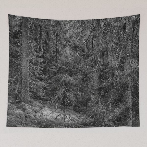 Item preview, Spruces and moss. Seitseminen bw designed and sold by Jouko Lehto Photography.