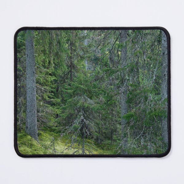 Item preview, Spruces and moss. Seitseminen designed and sold by Jouko Lehto Photography.