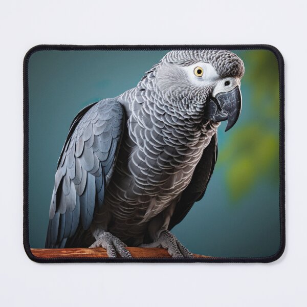 Item preview, Animal Photography - African Grey Parrot designed and sold by KootenayDesigns.