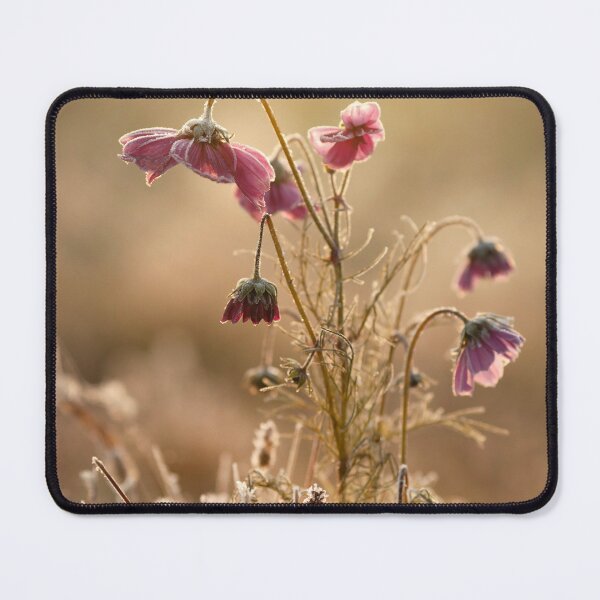 Item preview, Pink flowers designed and sold by Catrinann.