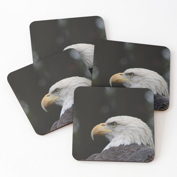 Item preview, American Bald Eagle - closeup of adult bird and large yellow beak view of bird from behind  designed and sold by Jacobs-Media.
