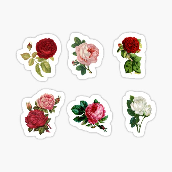 46pcs Boxed stickers Flowers world irregular Paper Rose Aesthetics