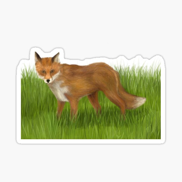 Item preview, Fox in grass designed and sold by Alec B.