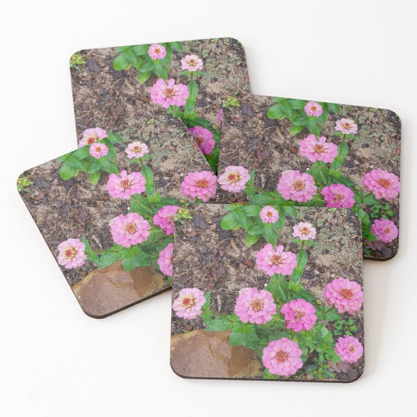 Item preview, Zinnia in late fall designed and sold by Firstbloom.