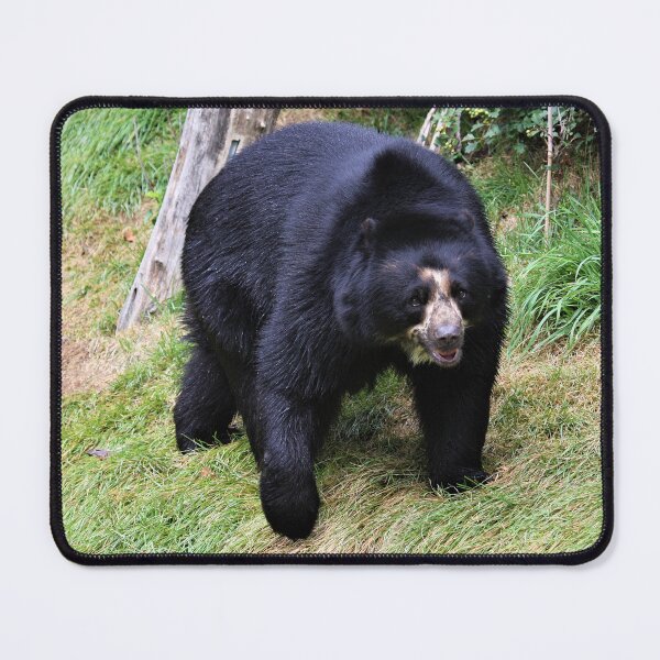 Item preview, Bear Stroll designed and sold by Fearless-Fox.
