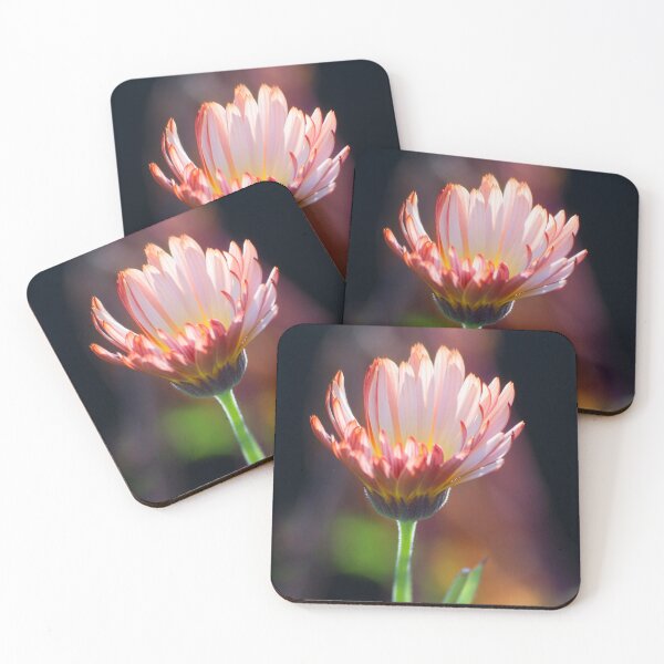 Item preview, Aglow in November designed and sold by alanathrower.