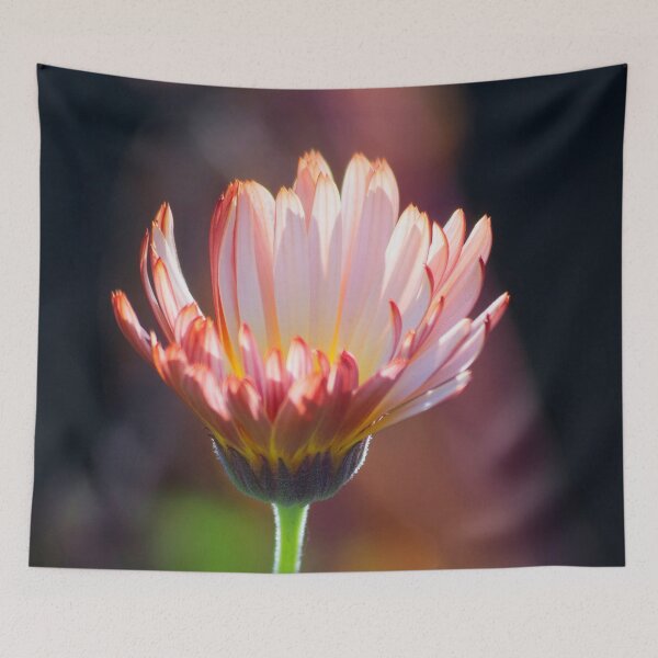 Item preview, Aglow in November designed and sold by alanathrower.