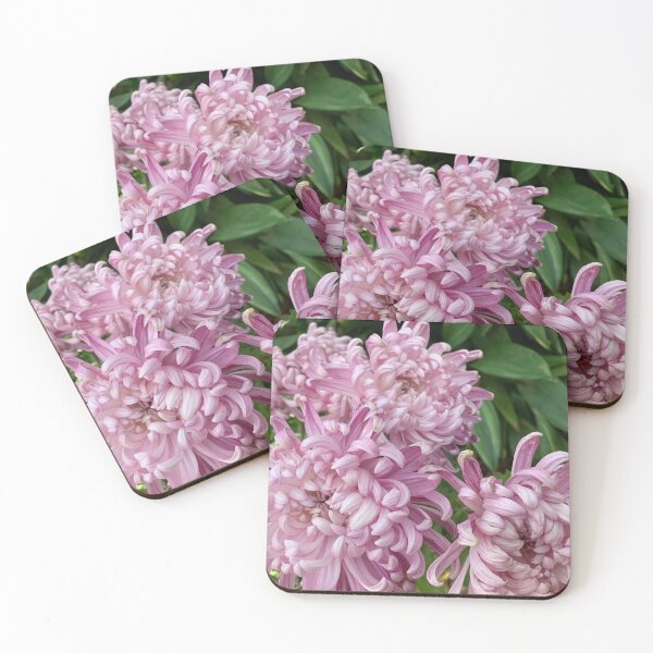Item preview, Crysanthemums designed and sold by agnessa38.