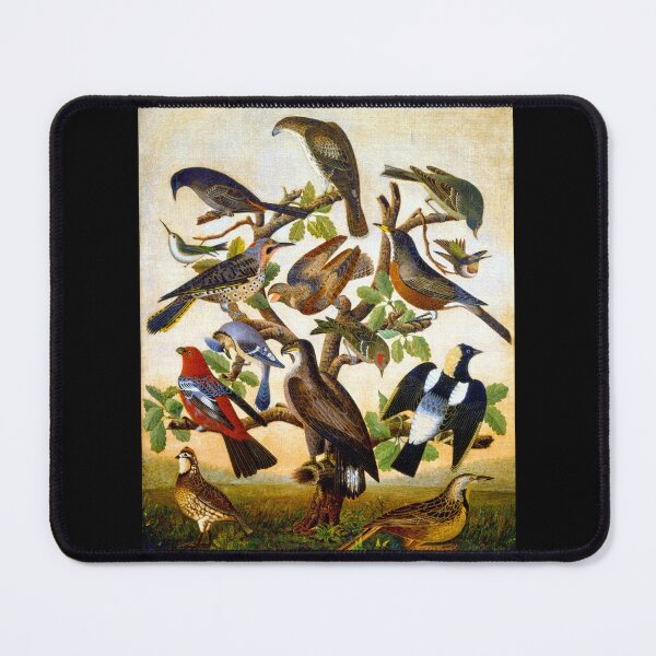 Item preview, 14 American Birds 1840 designed and sold by RocketshipRetro.