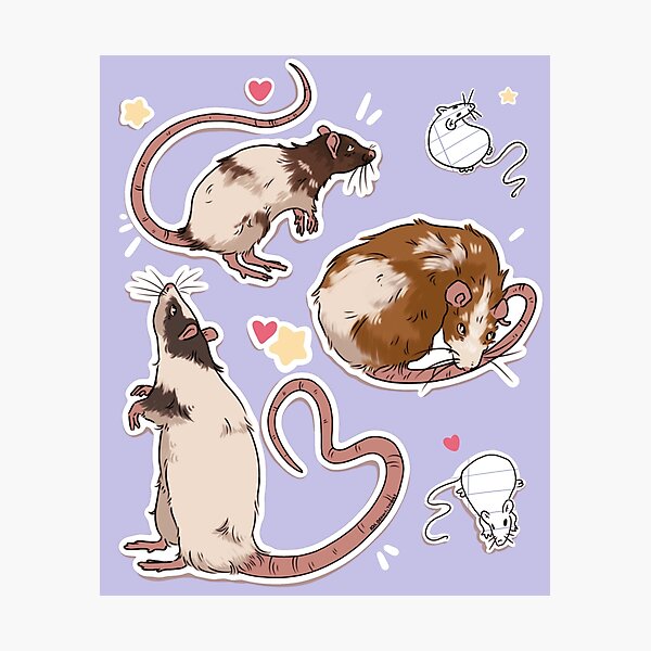 Item preview, Silly Rats designed and sold by Kaidrawsthings.