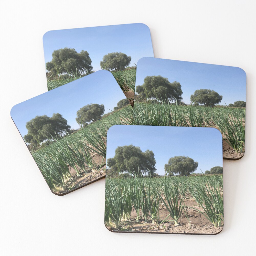 Item preview, Coasters (Set of 4) designed and sold by RDLT.