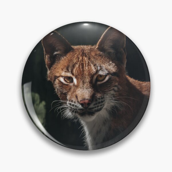 Item preview, Clear Look designed and sold by EdgarInFocus.