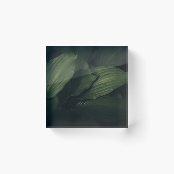 Item preview, Green Aesthetic designed and sold by EdgarInFocus.