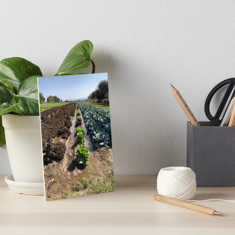 Item preview, Art Board Print designed and sold by RDLT.