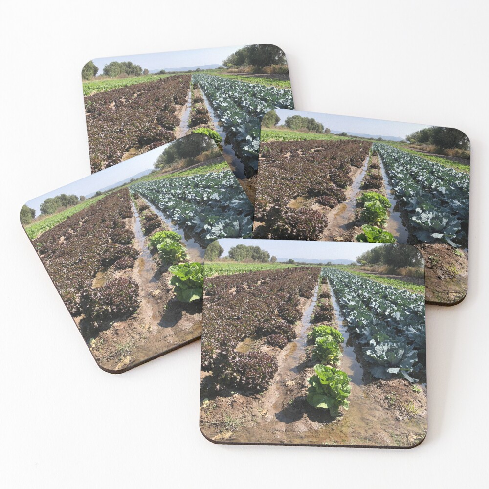 Item preview, Coasters (Set of 4) designed and sold by RDLT.