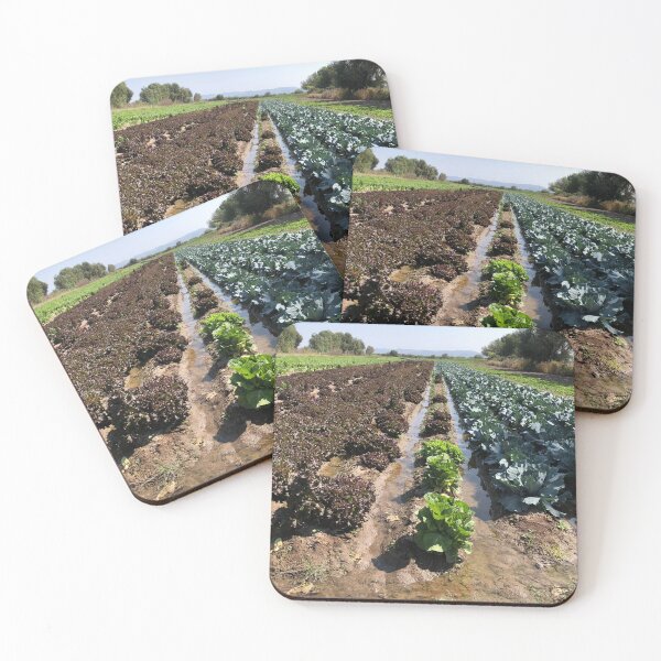 Item preview, Lettuce field designed and sold by RDLT.