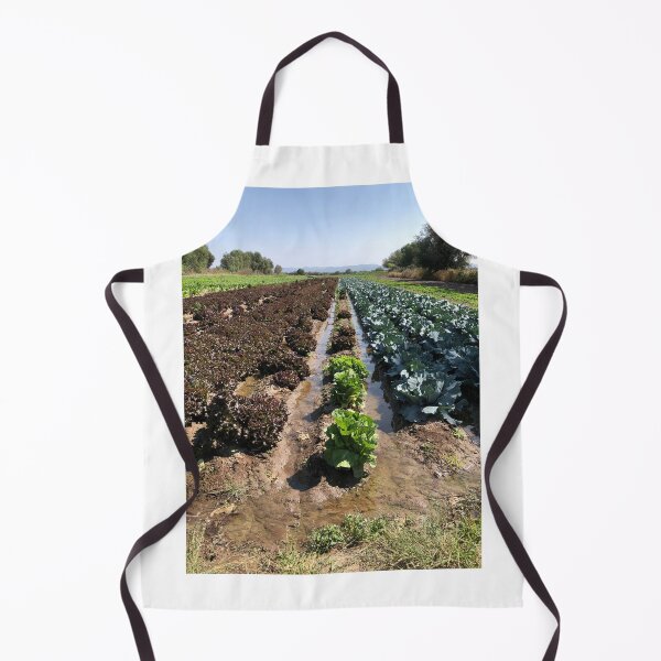 Item preview, Lettuce field designed and sold by RDLT.