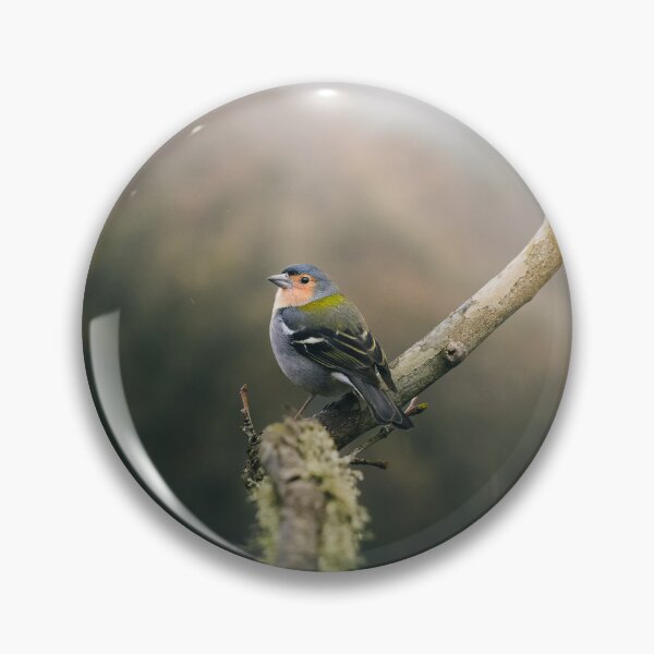 Item preview, Rain, Bird, Three designed and sold by EdgarInFocus.