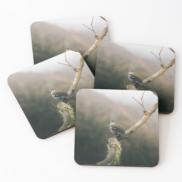 Item preview, Rain, Bird, Three designed and sold by EdgarInFocus.