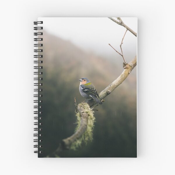 Item preview, Rain, Bird, Three designed and sold by EdgarInFocus.