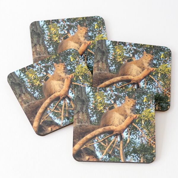 Item preview, Guard Your Nuts designed and sold by WondrousMoments.