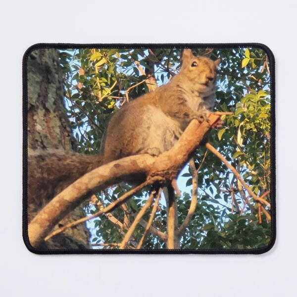 Item preview, Guard Your Nuts designed and sold by WondrousMoments.