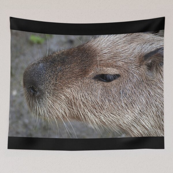 Aperçu de l'œuvre Capybara créée et vendue par Vac1.