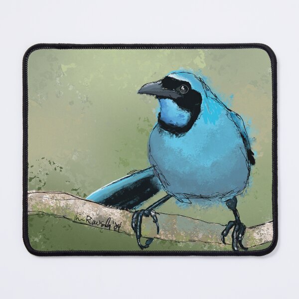 Item preview, Turquoise Jay designed and sold by Kim Rausch.