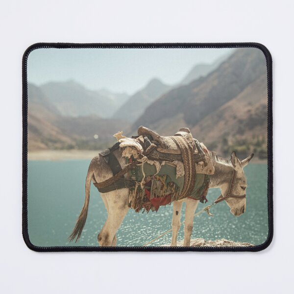 Item preview, Donkey In Tajikistan designed and sold by Kerry Purnell Photography.