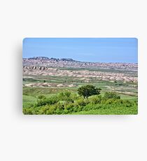 Vastness Canvas Print