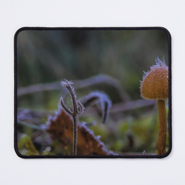 Item preview, Freezing designed and sold by Veikko  Suikkanen.