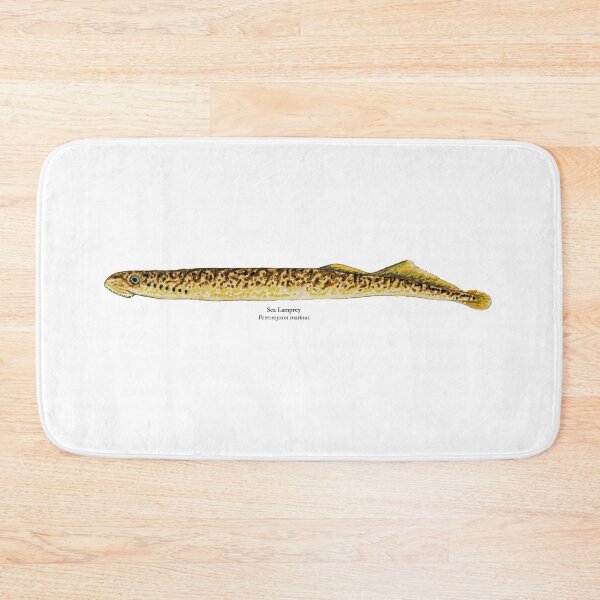 Item preview, Sea Lamprey Painting designed and sold by Stephen Emms.