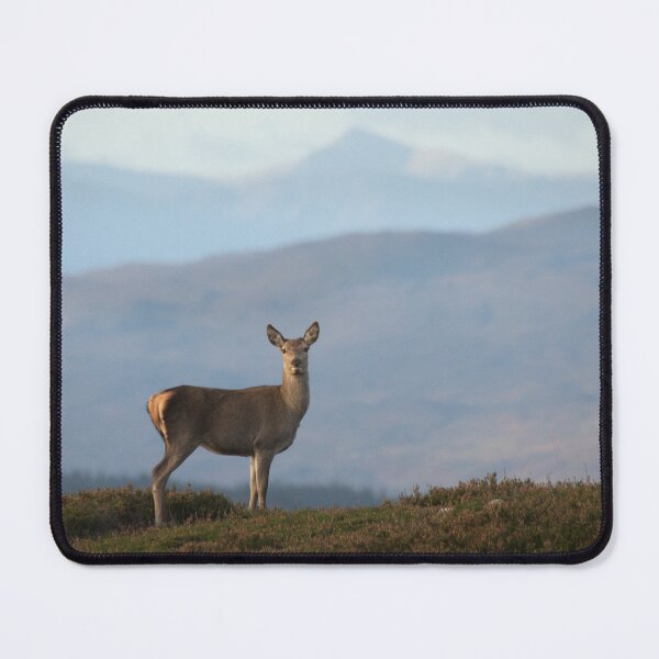 Item preview, Red Deer Hind designed and sold by Macrae images.