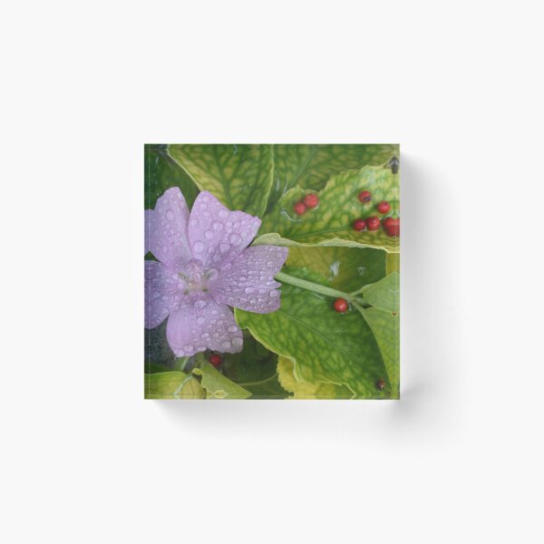 Item preview, A wild purple flower in the garden designed and sold by Claude Laprise.