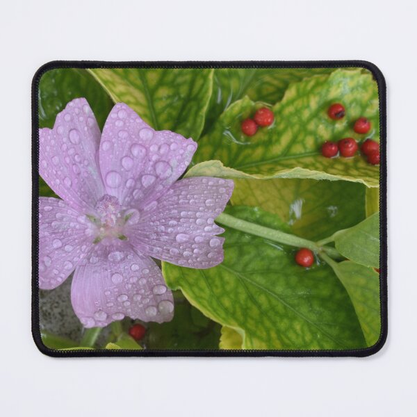 Item preview, A wild purple flower in the garden designed and sold by Claude Laprise.