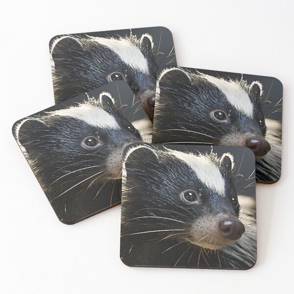 Item preview, Animal Photography - Skunk designed and sold by KootenayDesigns.