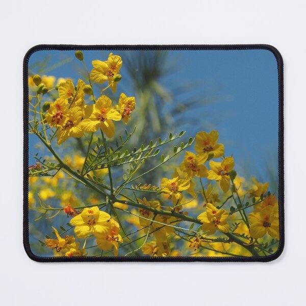 Item preview, The Palo Verde Bloom designed and sold by stephenB.