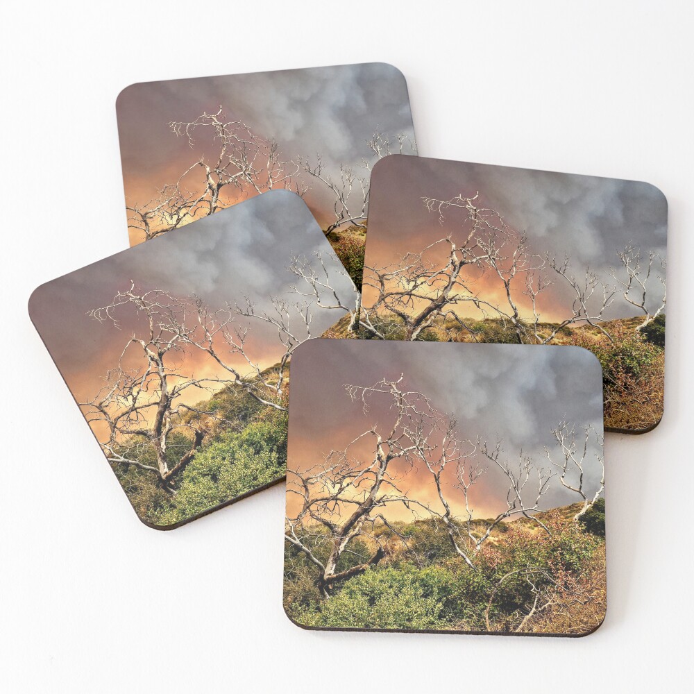 Item preview, Coasters (Set of 4) designed and sold by stephenB.