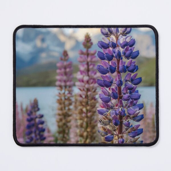 Item preview, Lupines with Chilean Mountains in the Background designed and sold by PhotoArt by Joan Carroll.