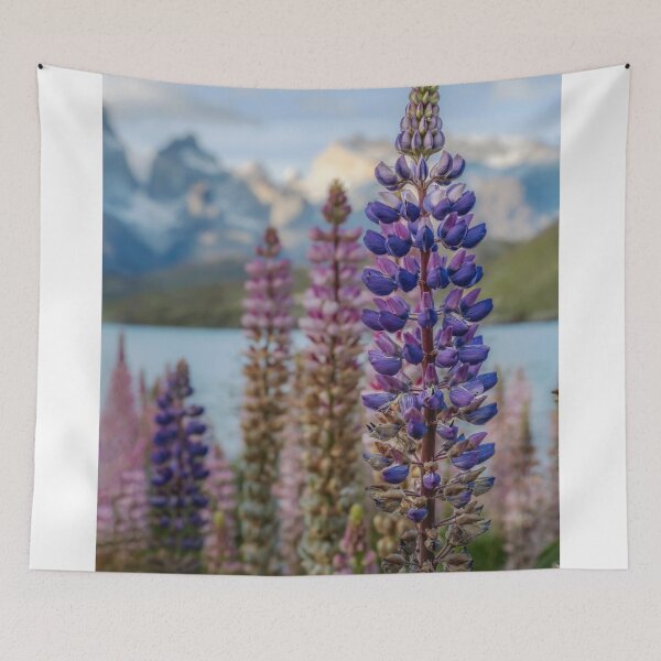 Item preview, Lupines with Chilean Mountains in the Background designed and sold by PhotoArt by Joan Carroll.