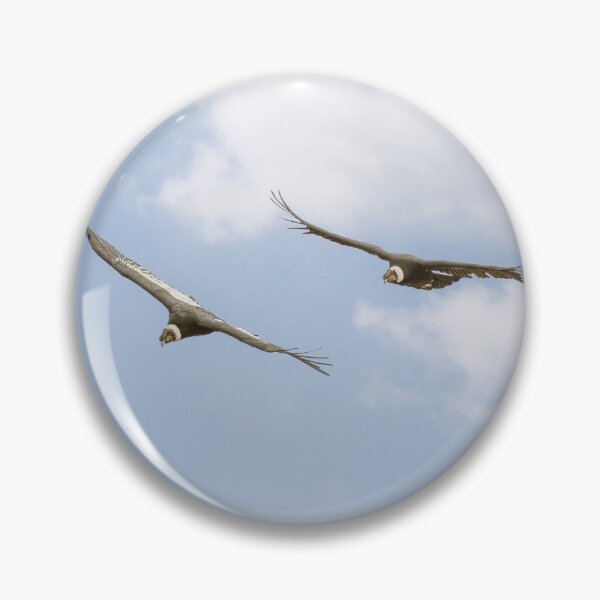 Item preview, Two Andean Condors designed and sold by PhotoArt by Joan Carroll.