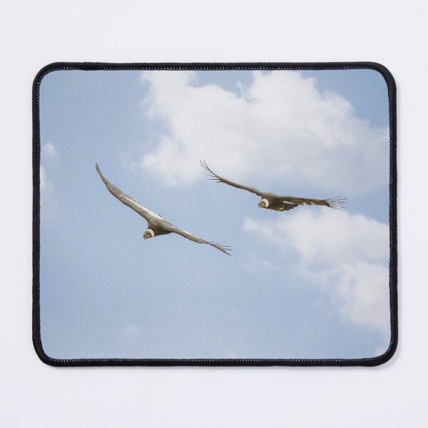 Item preview, Two Andean Condors designed and sold by PhotoArt by Joan Carroll.