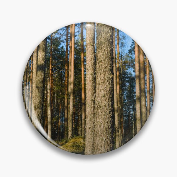 Item preview, When the sun hit the pines. Seitseminen designed and sold by Jouko Lehto Photography.