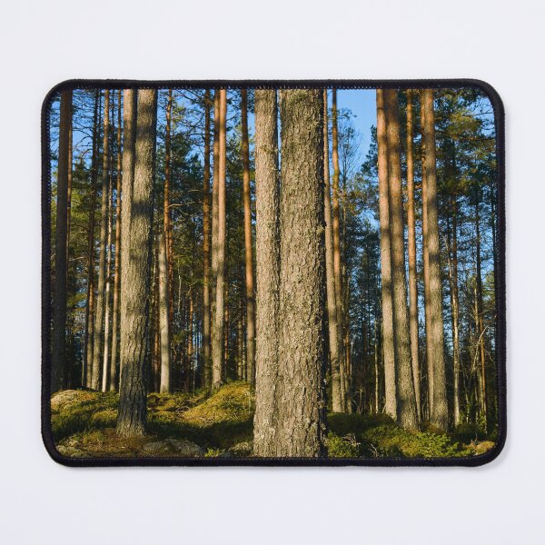 Item preview, When the sun hit the pines. Seitseminen designed and sold by Jouko Lehto Photography.