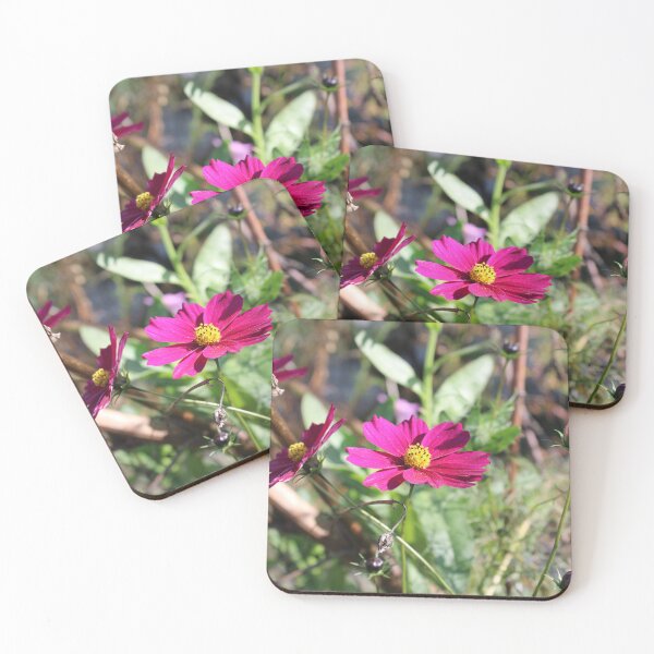 Item preview, Cosmos bipinnatus designed and sold by McFleur's Lens.